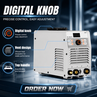 Poste à souder TIG 300GTS DC Inverter MMA double tension 220V 380V 300A pour soudage à l'arc tungstène argon de l'acier inoxydable
