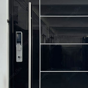 <span class=keywords><strong>Puerta</strong></span> Pivotante Exterior de Alta Calidad, Negra, Eficiente Energéticamente, de Seguridad, Grande, de <span class=keywords><strong>Entrada</strong></span> Principal, de Acero Inoxidable - Product Image 4