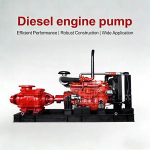 Bomba de Agua Autocebante para Uso Doméstico Rural Sin Electricidad - Product Image 1