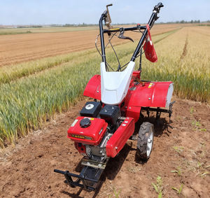 Máy móc nông nghiệp thiết bị DIESEL 7HP 12hp 17hp ROTARY tiller Mini tiller máy kéo đất làm Đất máy - Product Image 5