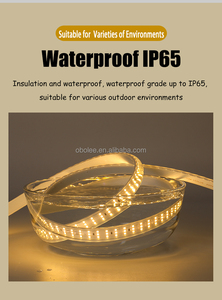 ไฟแถบ LED SMD 2835 กันน้ำ IP67 220V แบบยืดหยุ่น ตัดได้ แสงวอร์มไวท์ แสงคูลไวท์ สำหรับตกแต่งอาคาร - Product Image 3