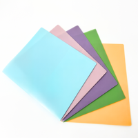 Carpeta de Archivo con Clip de Plástico PP de Primera Calidad, Colorida, Gruesa, Impermeable y Ecológica para Documentos de Oficina y Escolares