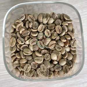 Premium Vietnam Arabica Green Coffee Beans Screen 18 Sabor natural Alto grado Exportación a granel Suministro de bebidas para tostar - Product Image 2