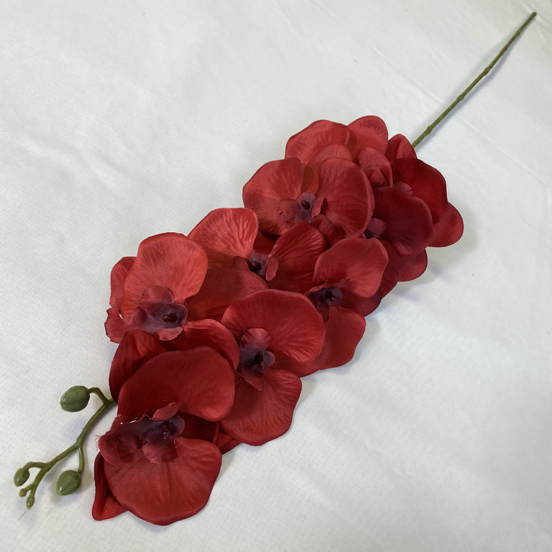 SKU02