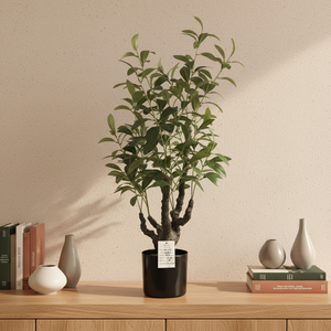 Offre Spéciale : Arbre Artificiel Cocotier Bonsaï sur Pied 165CM Vert Écologique Décoratif pour Bureau, Magasin, Restaurant, Parc - Product Image 2
