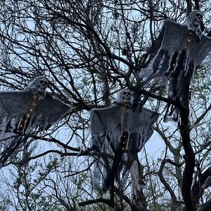 Lámpara de Araña LED con Calavera Luminosa y Capa de Gasa, Decoración para Halloween, Ideal para Fiestas y Casas Encantadas - Product Image 3