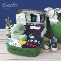 Coffret Cadeau Bébé Garçon Dinosaure Rayé Dessin Animé Adorable – Ensemble Multi-Pièces en Coton avec Chaussures et Peluche – Style Europe-Amérique pour Printemps-Été