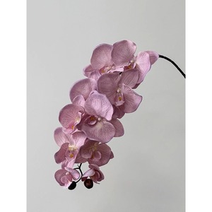 Orquídea Phalaenopsis Artificial, Ramo Individual, Flor de Seda Plástica de Alta Simulación, Decoración para el Hogar, Accesorios para Bodas - Product Image 4