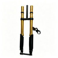 Fourche avant inversée hydraulique Surron Light Bee Ultra Bee DH, suspension personnalisée pour moto tout-terrain, pièces de rechange neuves