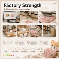 Coussin en peluche personnalisé, vente en gros, OEM ODM, forme sur mesure, coussin rembourré doux pour la décoration intérieure, canapé et cadeau, vente au détail