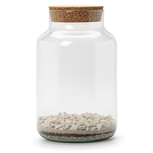 Maß gefertigte mund geblasene DIY-<span class=keywords><strong>Terrarium</strong></span> flasche aus klarem Glas für die Gartenarbeit im Innenbereich mit Kork deckel - Product Image 3