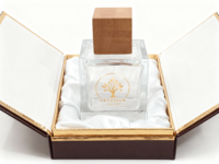 Flacon pulvérisateur de parfum écologique et recyclable de 100 ml, forme carrée transparente, style moderne, diffuseur à bâtonnets, impression sérigraphique, couleur personnalisée