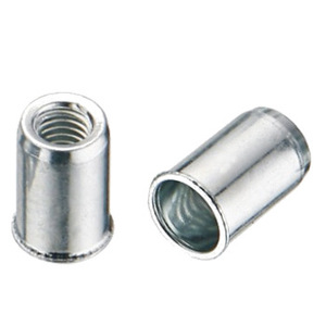 Tuercas Remachables Advel de 1/4 Pulgada, Grado A, Clase 8, Alta Resistencia para Superficies Metálicas Externas - Product Image 1