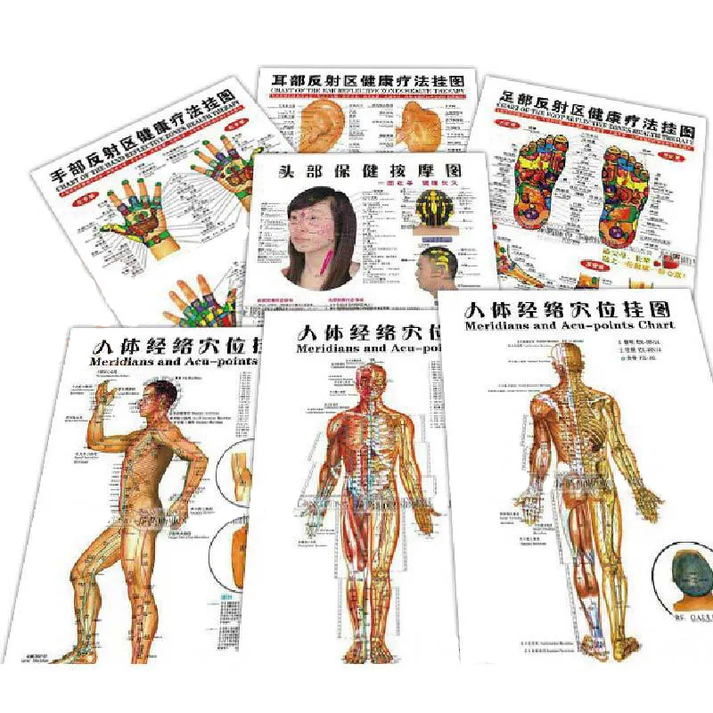 Gráficos de acupuntura médica china puntos mapa de pared de acupuntura Mapa de acupuntura del cuerpo humano 1 Juego de 7 Comparación chino-Inglés