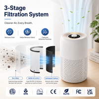 Pembersih Udara Portable True HEPA Penghilang Bau Bulu Hewan Peliharaan Pilihan Distributor untuk Meja Asrama, Hadiah Retail dengan OEM ODM CE RoHS FCC