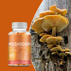 Complément alimentaire végétalien à base de champignons pour la santé cérébrale, marque privée OEM, Super Brain Booster, bonbons gélifiés pour adultes, 60 unités, durée de conservation de 2 ans - Product Image 3