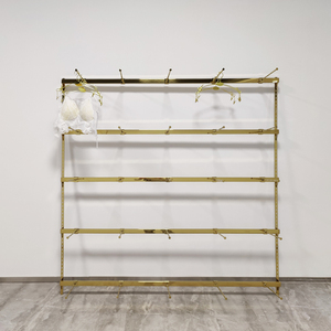 Espositore da Parete Personalizzato in Oro per Lingerie, Supporto per Reggiseni in Acciaio Inox, Scaffale per Biancheria Intima, Decorazione Negozio, Design per Punto Vendita - Product Image 2