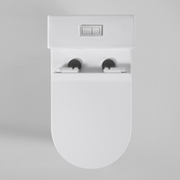 WC monobloc silencieux South Villa 4,5 L avec chasse d'eau Tornado et bouton rectangulaire pour usage domestique