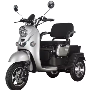 2025 vente chaude d'<span class=keywords><strong>occasion</strong></span> en acier <span class=keywords><strong>vélo</strong></span> <span class=keywords><strong>électrique</strong></span> moyeu arrière moteur 3 vitesses 3 roues conception batterie plomb-acide alimentation 400kg charge - Product Image 6