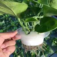 Panier de culture en filet plastique pour serre agricole, idéal pour légumes et systèmes hydroponiques
