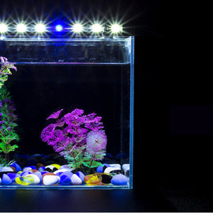 Lumière LED submersible <span class=keywords><strong>pour</strong></span> <span class=keywords><strong>aquarium</strong></span> 3,5W-10W, lumière LED sous-marine <span class=keywords><strong>pour</strong></span> paysage, <span class=keywords><strong>pour</strong></span> arowana, poissons rouges - Product Image 6