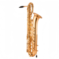 High Quality Brass Eb Baritone Saxophone with Gold Lacquer Finish Hand Engravings Easy Install Wind Instrument with Accessories