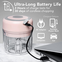 Mini Robot Culinaire Électrique Portable et Sans Fil Rechargeable de 250 ML avec Lame en Acier Inoxydable, Hachoir à Ail