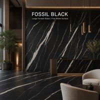 Pierre frittée noire Fossil ultra-mince (6/9 mm) finition brillante, trois motifs continus pour aménagement paysager extérieur