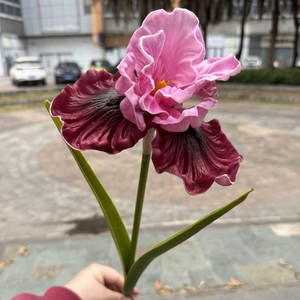 Fleurs d'<span class=keywords><strong>iris</strong></span> artificielles en EVA à 1 tête, style <span class=keywords><strong>jardin</strong></span>, pour la décoration <span class=keywords><strong>de</strong></span> mariages, événements et maisons (vente en gros) - Product Image 5
