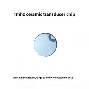 Cabezal ultrasónico <span class=keywords><strong>de</strong></span> belleza 1M3MHZ, cabezal <span class=keywords><strong>de</strong></span> hardware para fisioterapia, chip cerámico piezoeléctrico importado 20/25/28/38mm, China - Product Image 6