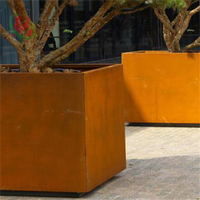 Jardinières surélevées en acier Corten écologiques pour l'extérieur, usage domestique, durables, noir rouillé, rouge, tailles personnalisables, améliorent l'esthétique