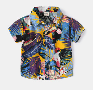2024 Summer Beach Chemise hawaïenne à manches courtes pour garçon LSBO-002 - Product Image 5