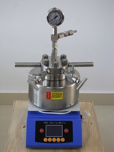 Réacteur autoclave à agitation en acier inoxydable 250 ml, certifié OEM ISO/CE, pour usage en laboratoire, garantie 1 an - Product Image 2