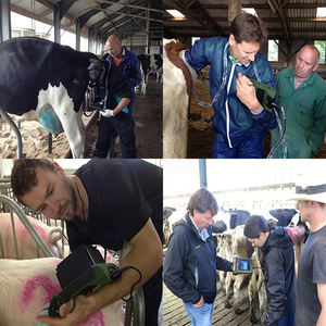 Escáner de Ultrasonido Portátil para Diagnóstico de Gestación Animal, Escáner Veterinario de Ultrasonido Bovino con Detección Automática - Product Image 6