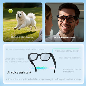 Ptarmigan New FG01 AI สมาร์ทสำหรับแว่นตา ฟังเสียงสนทนา ผู้ช่วยเสียง ควบคุมด้วยระบบสัมผัส กันน้ำระดับ IP67 ชาร์จแบบแม่เหล็ก - Product Image 5