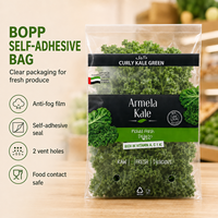 Kantong Kemasan Buah dan Sayur Food Grade BOPP Anti Embun dengan Logo Custom, Perekat Sendiri, dan Lubang Ventilasi