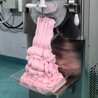 Machine à fabriquer des glaces italiennes 56L/H, congélateurs à glace en continu, machine à glace industrielle, machine à glace électrique