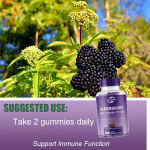 Gomitas de Saúco Orgánico para Adultos (120 Unidades), Saúco Negro con Vitamina C y Zinc, Refuerzo Inmunológico, Venta Caliente OEM/ODM - Product Image 3