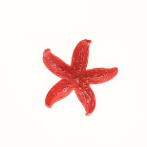 Piccoli oggetti artigianali ecologici in resina per <span class=keywords><strong>acquari</strong></span> paesaggistici acquario decorazioni mobili per acquario corallo stella marina ornamenti scatola di imballaggio - Product Image 4