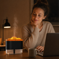 Humidificateur en plastique effet flamme volcanique 300ml, veilleuse colorée, barre d'oxygène, brume nano, diffuseur d'aromathérapie ultrasonique USB pour chambre