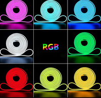 Tira de Luz LED RGB de Silicona de 12V/24V CC, Garantía de 3 Años, Apta para Decoración de Barras y Mostradores