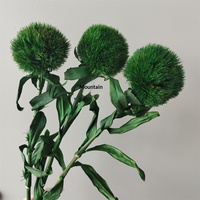 Susunan Bunga Artistik Green Ball Preserved Flower, Dekorasi Furnitur Lembut dengan Bunga Kering dan Asli