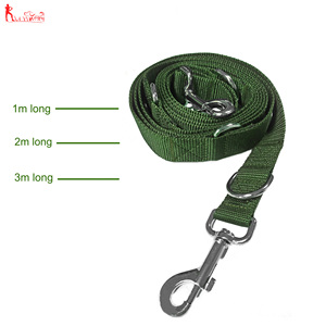 Laisses pour animaux de compagnie de 1 <span class=keywords><strong>m</strong></span>,2 <span class=keywords><strong>m</strong></span>,<span class=keywords><strong>3</strong></span> <span class=keywords><strong>m</strong></span> de long Vente en gros de haute qualité <span class=keywords><strong>Laisse</strong></span> pour chien en nylon réfléchissant application multi-scénarios <span class=keywords><strong>Laisse</strong></span> pour chien - Product Image 3