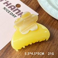 Pince à Cheveux Fleur en Acétate Luxe Léger pour l'Été, Exquise, Iridescente, Premium, Écologique, Petite, pour Demi-queue de Cheveux Femme