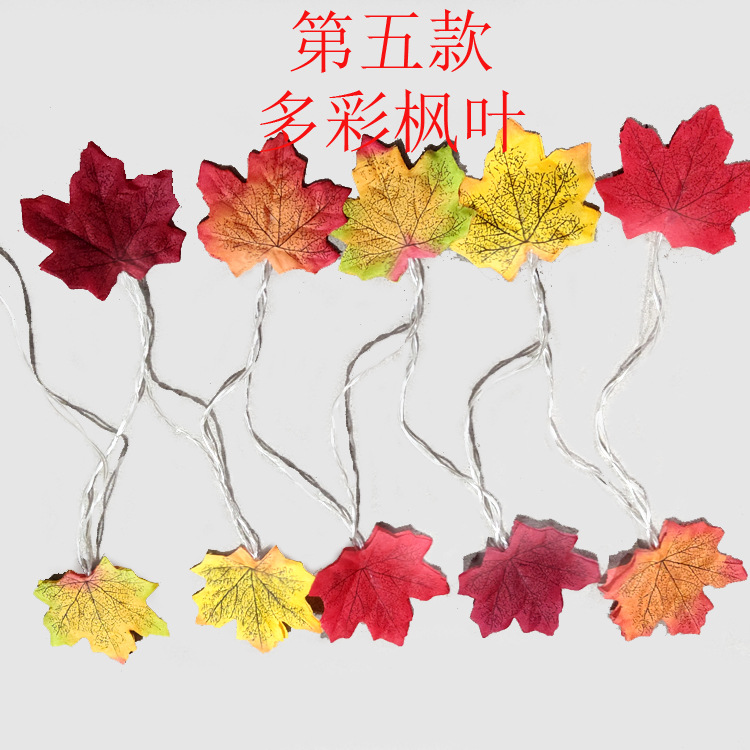 Fifth model  colorful