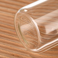 Offre Spéciale – Tasses en Verre Borosilicate de Haute Qualité avec Couvercles Personnalisables, Logo et Couleur sur Mesure pour la Rentrée Scolaire, Café Glacé et Espresso