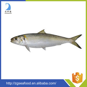 Varios Tipos de Pescado Enlatado, Mejor Sardina Enlatada - Product Image 5