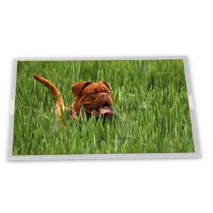 Módulos de pantalla LCD TFT 6,2 de calidad fiable, pantallas rectangulares industriales de gama completa - Product Image 1