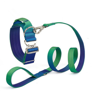 OEMグラデーションタクティカルヘビーデューティー2インチコンバットドッグカラーリーシュハーネス、スライバーメタルハンドルネオプレンパッド入りドッグハーネス - Product Image 4