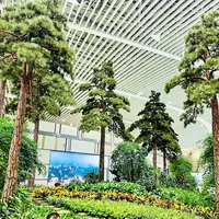 Arbre de cèdre de pin artificiel d'aspect naturel élevé pour les murs verts des hôtels de bureau Pin de bienvenue artificiel